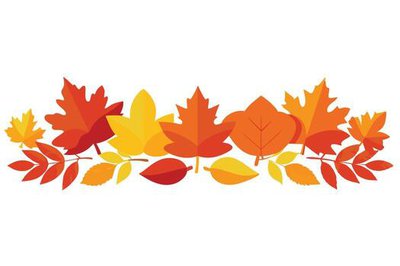 flat-autumn-leaves-arrangement-red-orange-yellow-on-white-background-free-vector.jpg