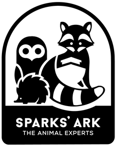 logo_white.png